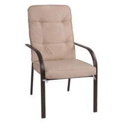 Metal Chair (AG)8