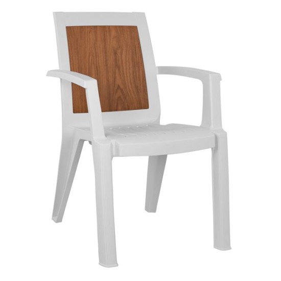 Καρέκλα πολυπ/νίου (AG)1
