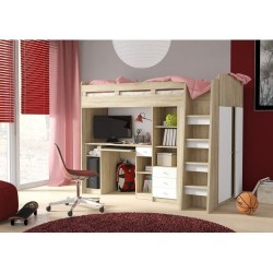 Polymorpchic Bed (AI)2