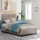 Upholstered Bed (AG)3