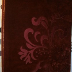 Χαλί Guy Laroche 1