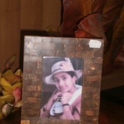 Stock διακοσμητικό 6