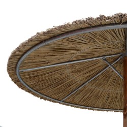 Ομπρέλα (AG)1