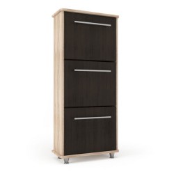 Shoe Cabinet (AI)3