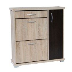Shoe Cabinet (AI)4