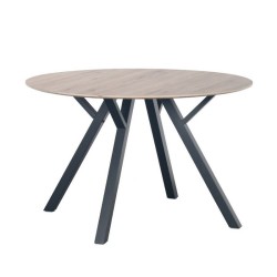 Dining Table (LB)9