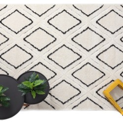 Χαλί μοντέρνο 12